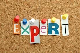 Expert1 Expert1